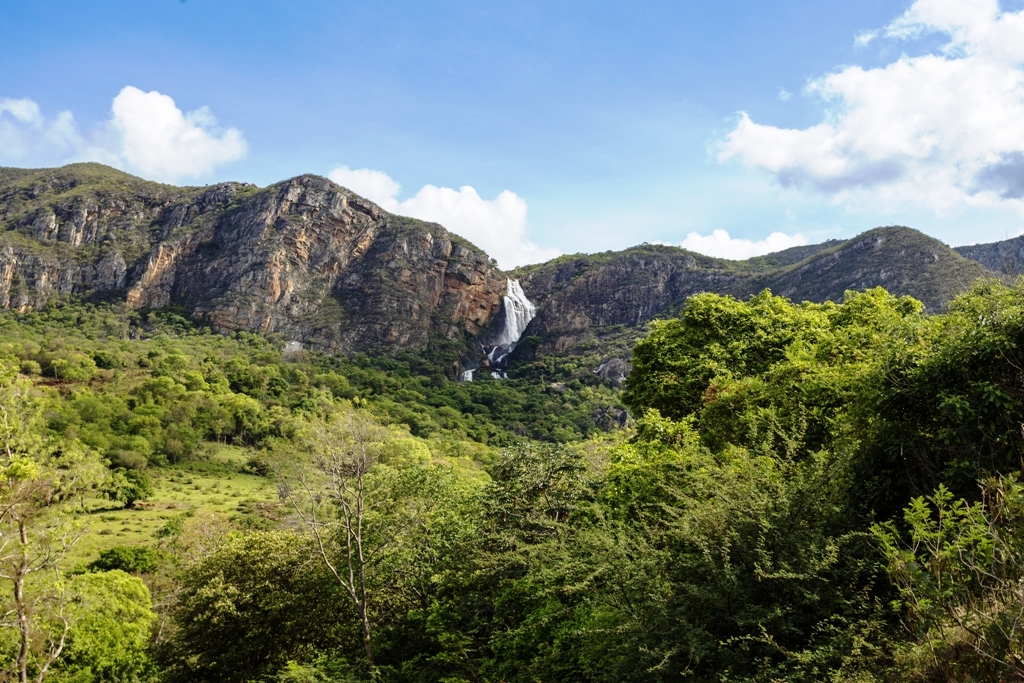 Dia Mundial da Conservação da Natureza: preservar é proteger o futuro