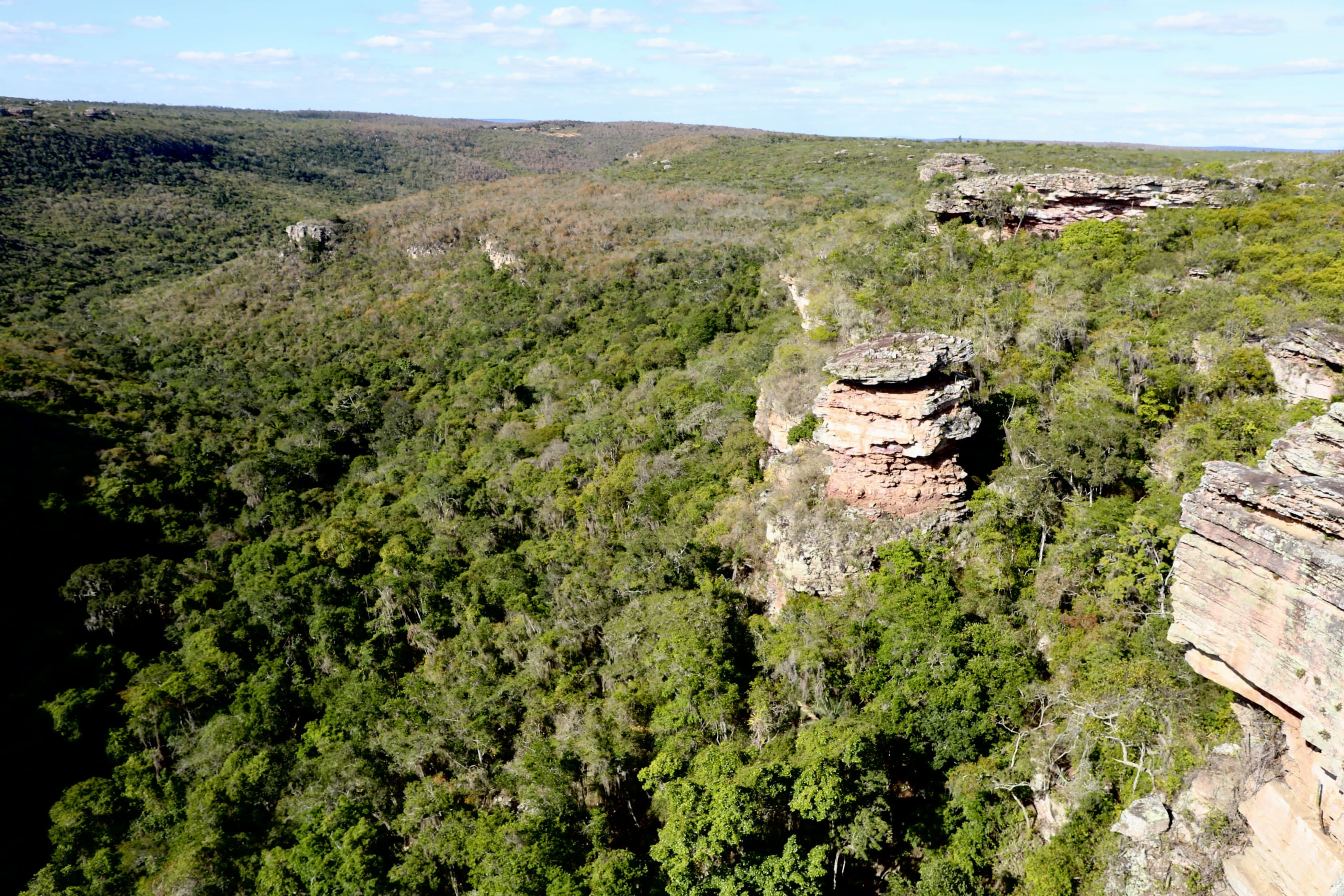 Sema detalha avanços da Reserva da Biosfera da Chapada Diamantina em reunião conjunta do Cepram e Conerh