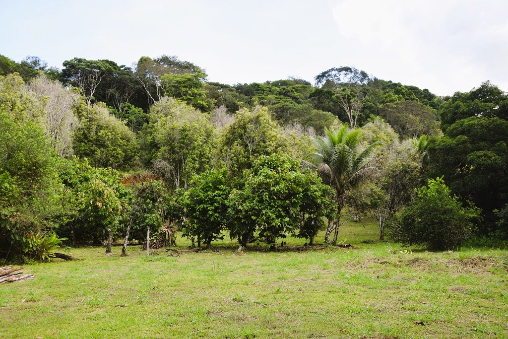 Bahia e França trocam experiências sobre agricultura familiar e transição agroecológica durante webinar