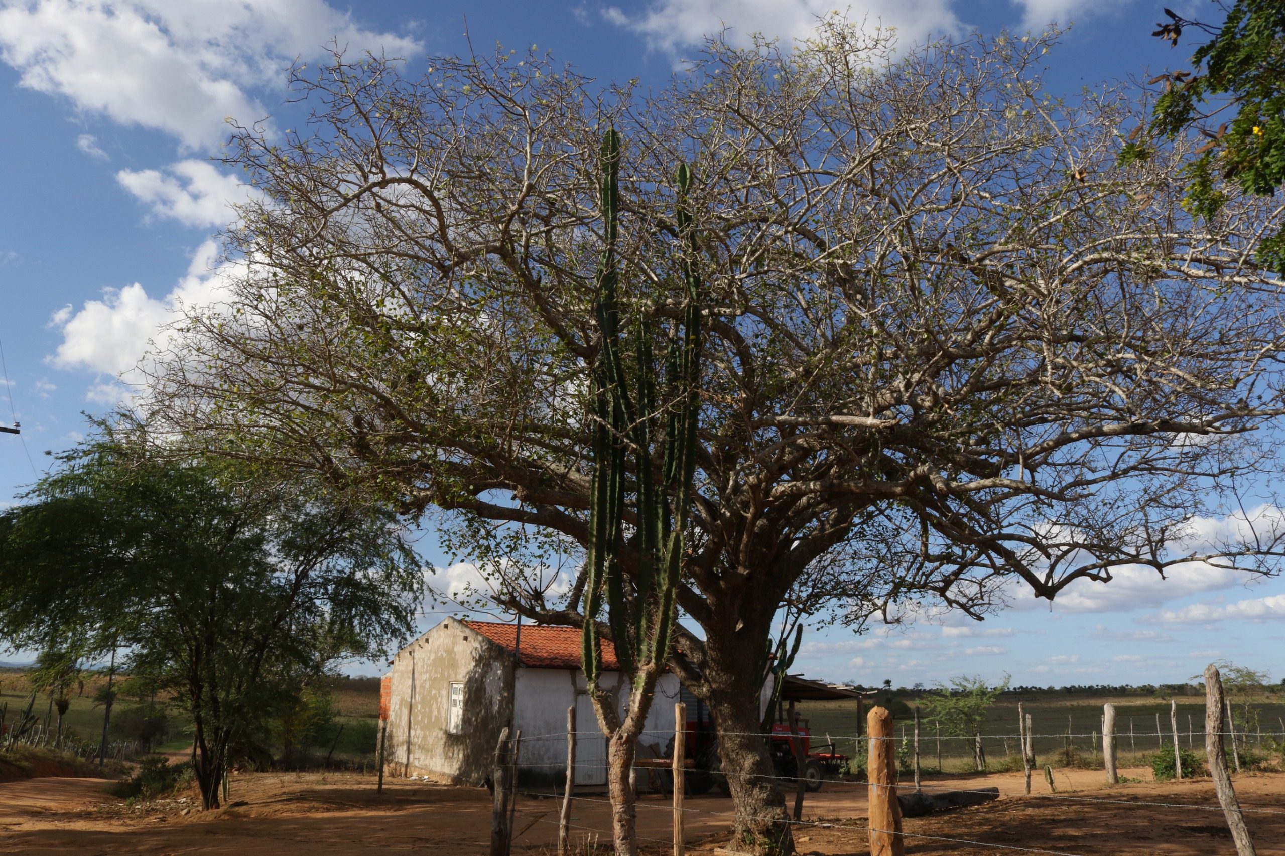 Bahia avança na agenda climática durante reunião do Fórum Baiano de Mudanças Climáticas e Biodiversidade