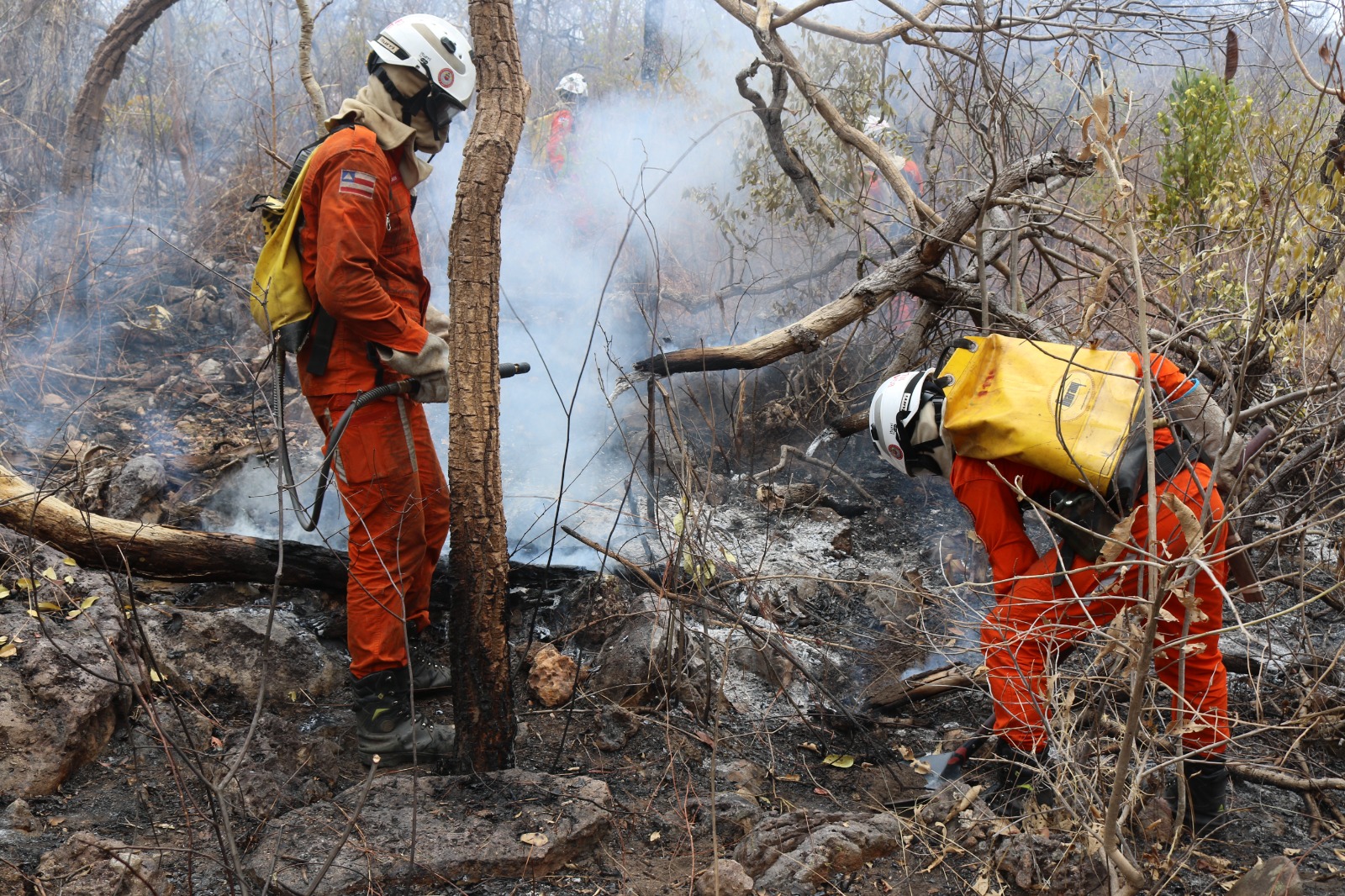 Balão vindo do RJ cai em Mucuri e acende alerta sobre os riscos ambientais da prática ilegal