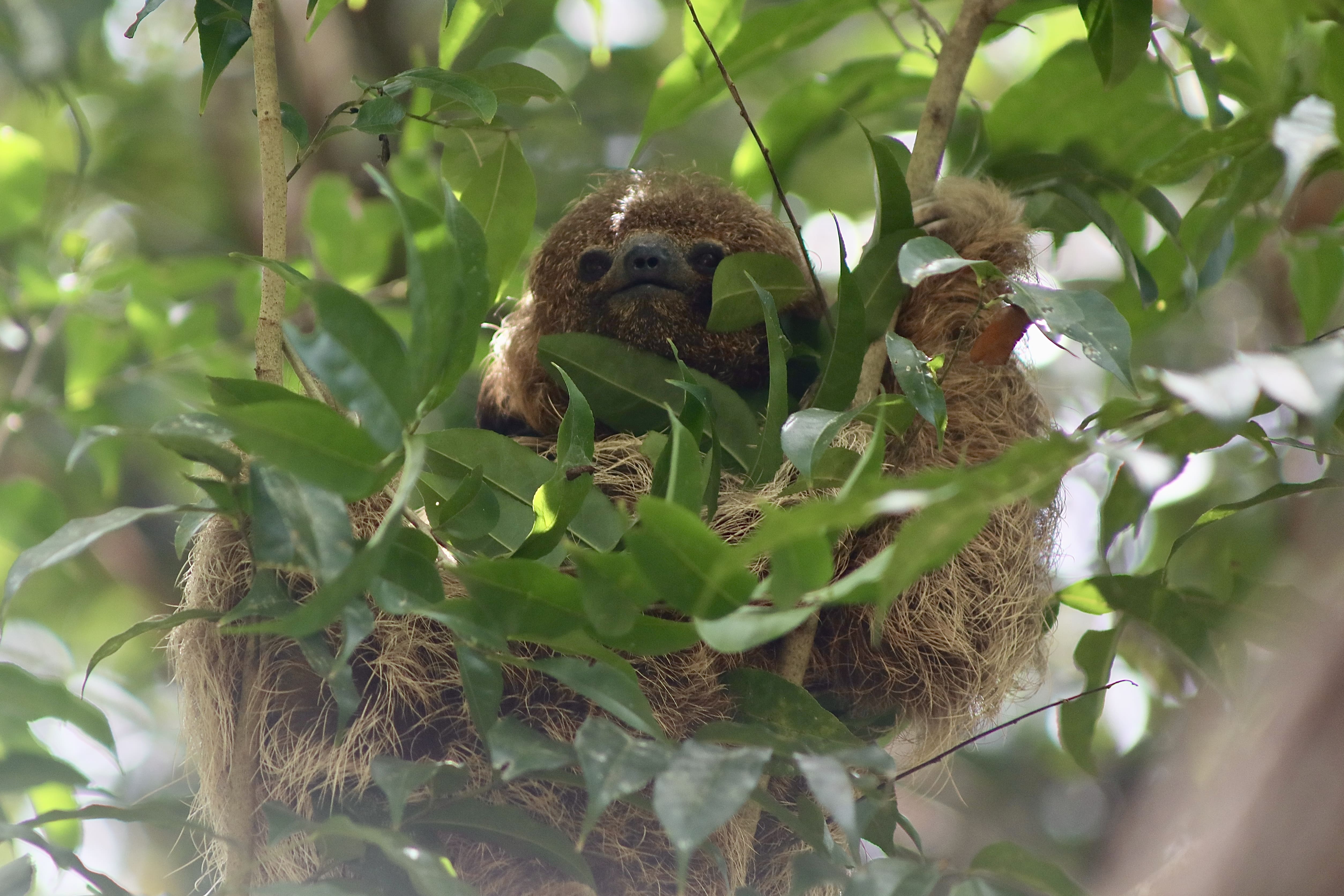 Bahia celebra Dia Internacional das Reservas da Biosfera com destaque para conservação e desenvolvimento sustentável
