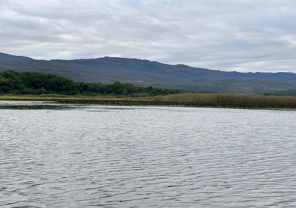  Pantanal