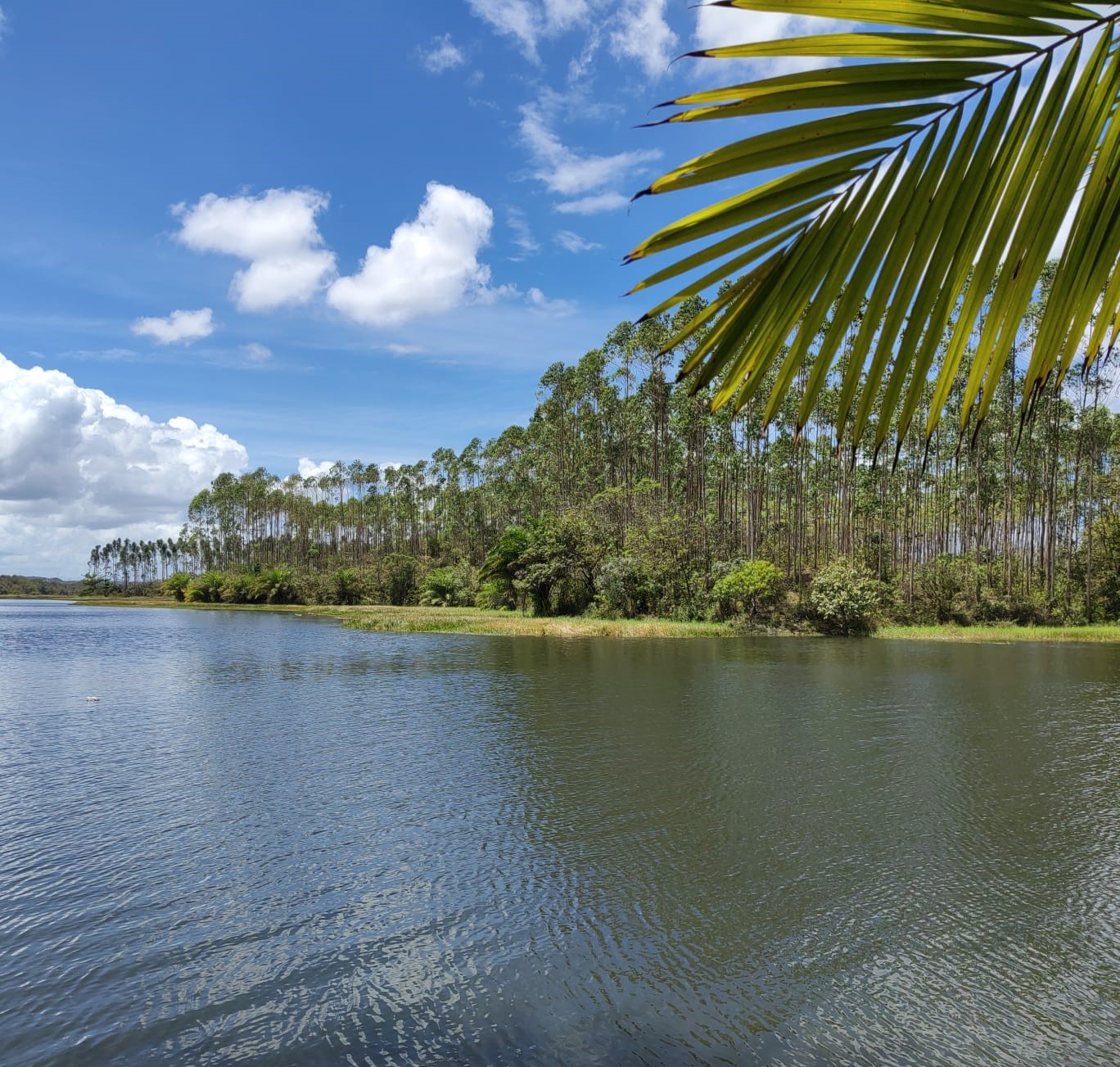 Sema apoia edital do CAMP Viva Água e reforça divulgação de oportunidades para segurança hídrica na Bahia