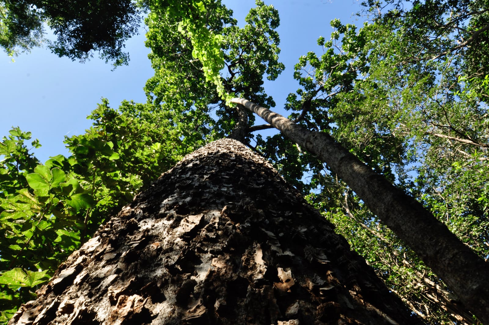 Dia nacional das RPPNS