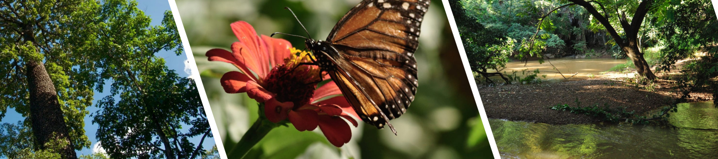 Créditos Fazenda Limoeiro - Raimundo Macêdo (6)