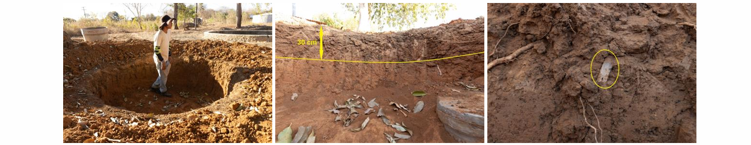 Créditos: Acervo da Fazenda Limoeiro - Raimundo Macêdo 