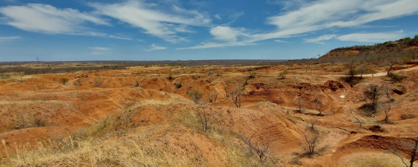 Bahia inicia atualização do Plano de Combate à Desertificação com reunião virtual