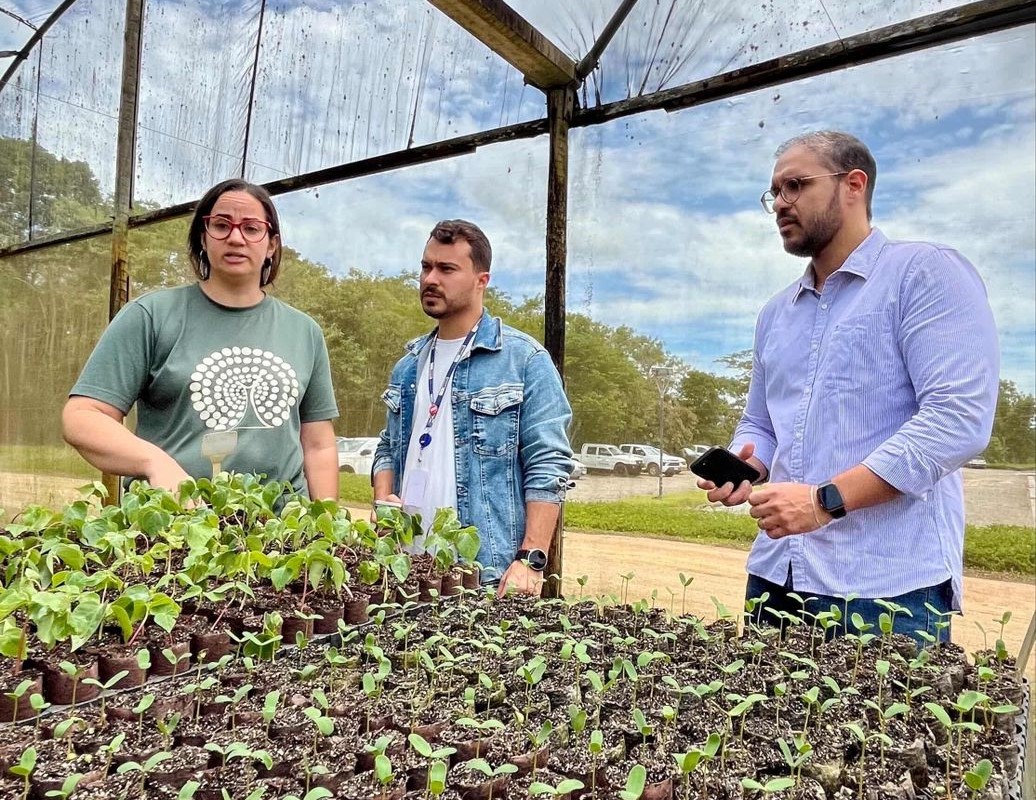 Sema visita viveiros no Extremo Sul para fortalecer política de recomposição florestal