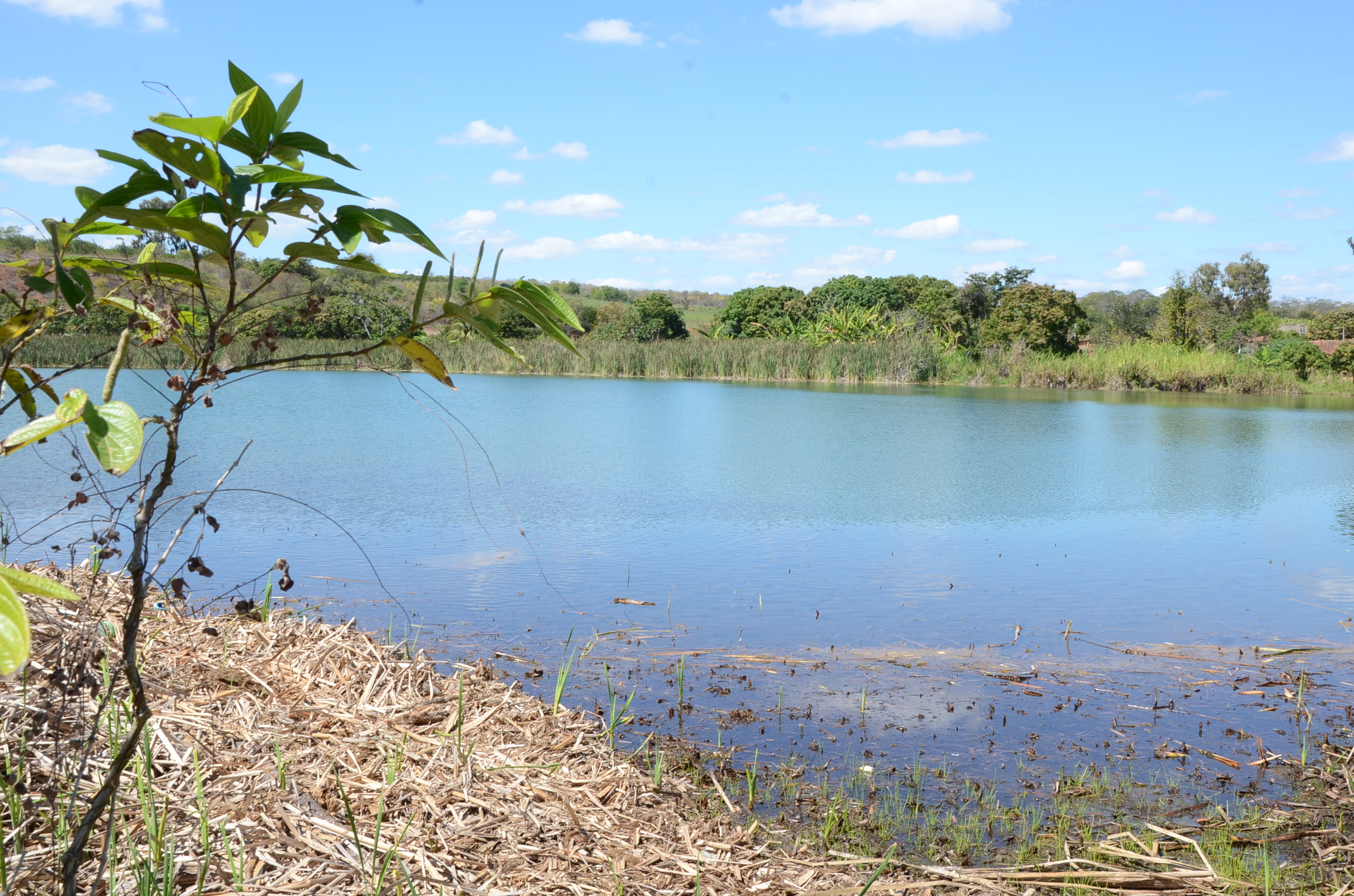 CONERH renova mandato de conselheiros e define planejamento na primeira reunião de 2026