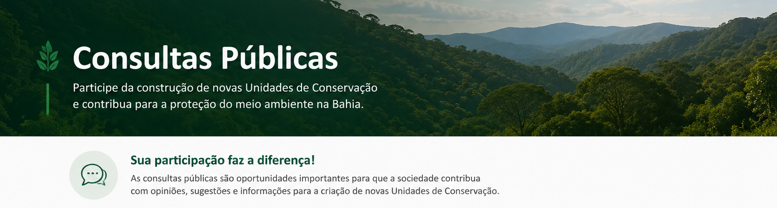 CONSULTAS PUBLICAS PAGINA GERAL.png