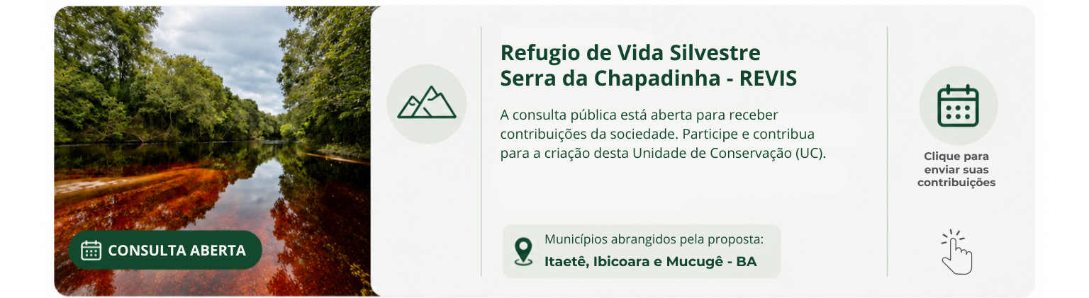 Consulta chapadinha