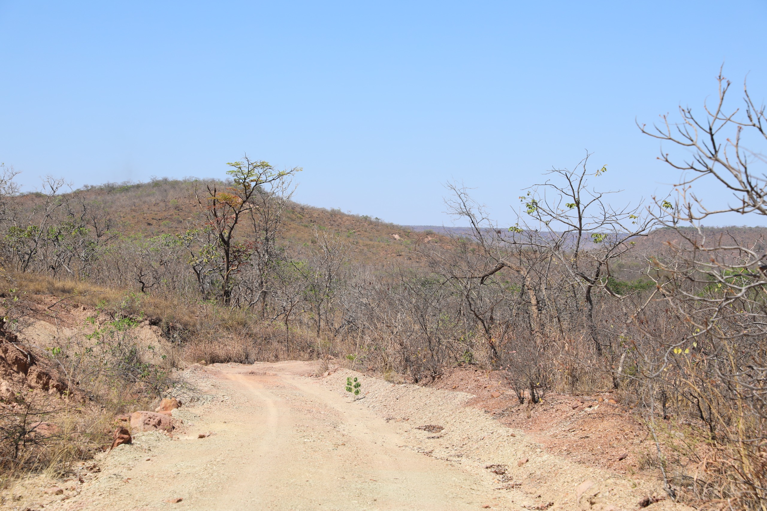 Sema abre inscrições para seminário em Juazeiro e fortalece ações de combate à desertificação na Bahia