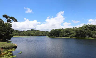Semana do Meio Ambiente reúne marcos históricos da conservação ambiental na Bahia