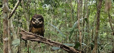 WhatsApp Image 2024-03-01 at 14.53.49.jpeg