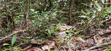 WhatsApp Image 2024-03-01 at 14.53.54.jpeg