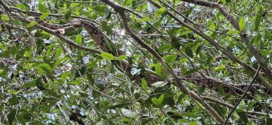 WhatsApp Image 2024-03-01 at 14.53.55(1).jpeg