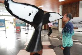 WhatsApp Image 2024-03-22 at 13.04.02(1).jpeg