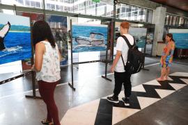 WhatsApp Image 2024-03-22 at 13.04.02(3).jpeg