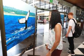 WhatsApp Image 2024-03-22 at 13.04.02(4).jpeg