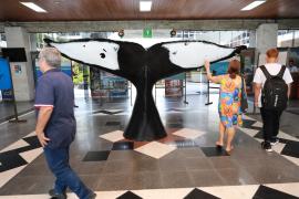 WhatsApp Image 2024-03-22 at 13.04.02(7).jpeg