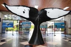 WhatsApp Image 2024-03-22 at 13.04.02(8).jpeg