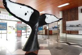 WhatsApp Image 2024-03-22 at 13.04.02.jpeg