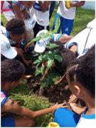 parque escola 4 (2).jpeg