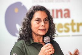 WhatsApp Image 2024-05-09 at 14.53.33(1).jpeg