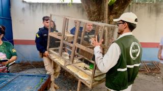 WhatsApp Image 2024-05-15 at 11.33.37.jpeg