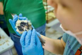 WhatsApp Image 2024-05-15 at 11.33.38 (10).jpeg