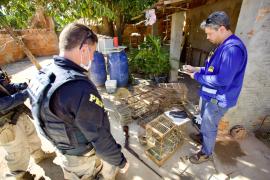 WhatsApp Image 2024-05-15 at 11.33.38 (3).jpeg