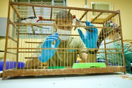 WhatsApp Image 2024-05-15 at 11.33.38 (7).jpeg