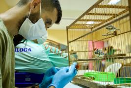 WhatsApp Image 2024-05-15 at 11.33.38 (8).jpeg