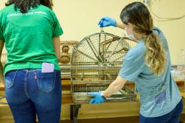 WhatsApp Image 2024-05-15 at 11.33.38 (9).jpeg