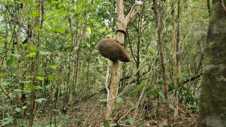 WhatsApp Image 2024-03-01 at 14.53.52_0.jpeg