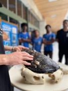 WhatsApp Image 2024-06-05 at 15.59.13.jpeg