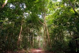 WhatsApp Image 2024-07-17 at 12.22.57.jpeg