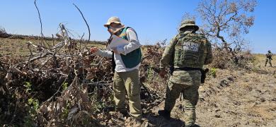 WhatsApp Image 2024-07-24 at 09.19.20 (1).jpeg