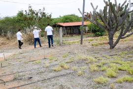 WhatsApp Image 2024-08-26 at 14.35.58.jpeg