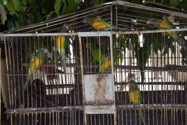 WhatsApp Image 2024-10-15 at 19.13.14.jpeg