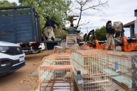 WhatsApp Image 2024-10-15 at 19.13.15 (4).jpeg