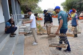 WhatsApp Image 2024-10-15 at 19.13.15 (5).jpeg