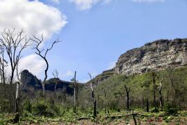 WhatsApp Image 2024-10-16 at 15.24.42.jpeg