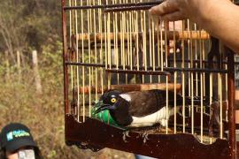 WhatsApp Image 2024-10-24 at 16.31.10 (1).jpeg