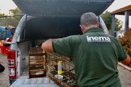 WhatsApp Image 2024-10-24 at 16.31.10.jpeg