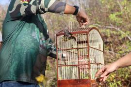 WhatsApp Image 2024-10-24 at 16.31.11 (1).jpeg