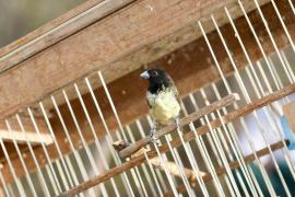 WhatsApp Image 2024-10-24 at 16.31.11.jpeg