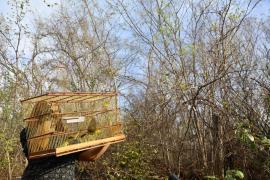 WhatsApp Image 2024-10-24 at 16.31.12 (1).jpeg