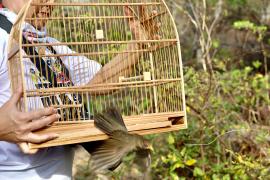 WhatsApp Image 2024-10-24 at 16.31.12.jpeg